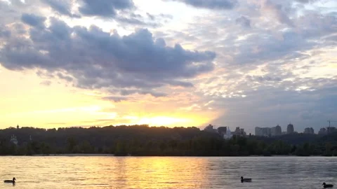 River with ducks and cityscape at sunset. Stock Footage 154947592