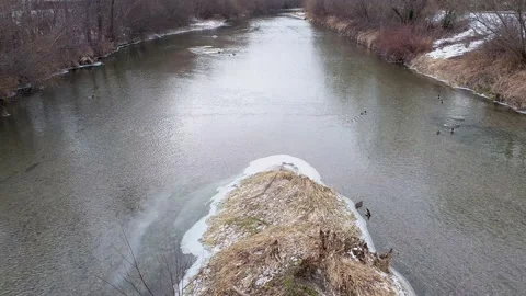 River with ducks Video stock 152988015