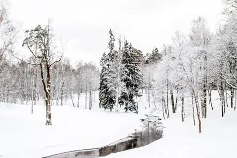 A river with ducks in winter Park Stock Photos