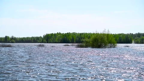 River during high water Stock Footage 255442413