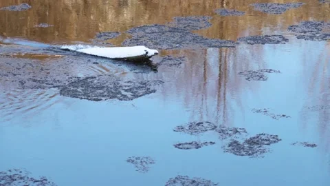 River during the ice drift. Spring in Russia. 動画素材 143854175
