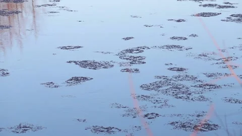 River during the ice drift. Spring in Russia. 動画素材 143854690