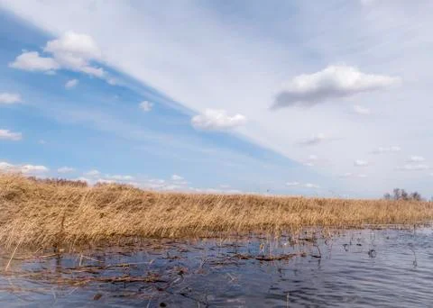 River in early spring Stock Photos