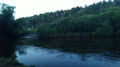 On the river in early summer Stock Footage 156175340