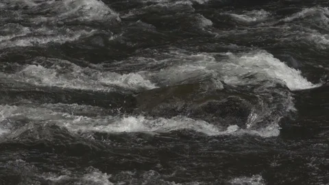 River Eddy Video stock 87944922