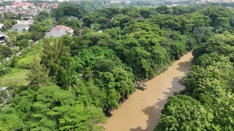 River at the edge of the forest Stock Footage 261490628