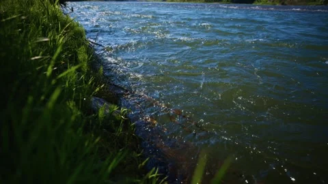 River edge with grass and sunlight Video stock 334162223