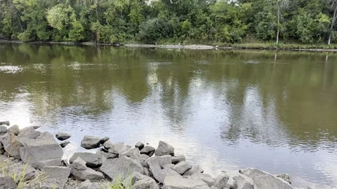 River Edge Rock and Trees Day 4K HDR Stock Footage 250368916