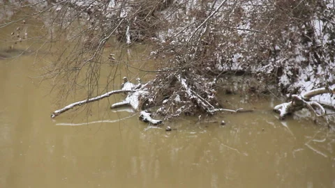 River edges in snow Video stock 90005459