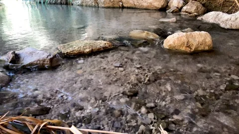 River, Ein Gedi, Israel Stock Footage
