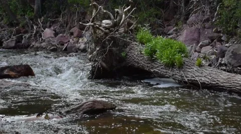 River at Eldorado Canyon State Park in Colorado 库存影片 41652071