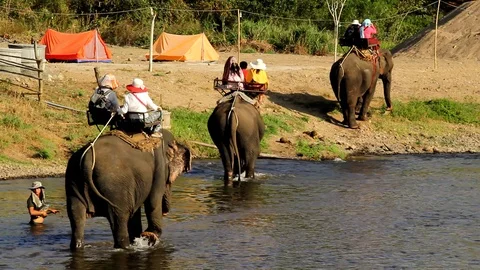 River elephant peoples Stock Footage 91276790