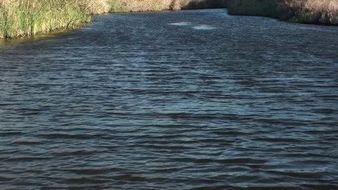 River, ending on a Coast Stock Footage 76380570