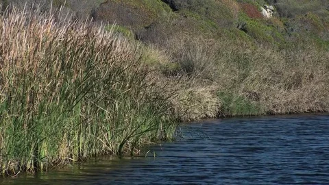 River, ending on a Coast Stock Footage 76380611