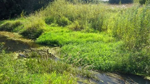 River Environment Overview Stock Footage 102744874