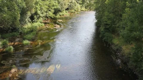 River Eo from a bridge Stock Footage 315189095