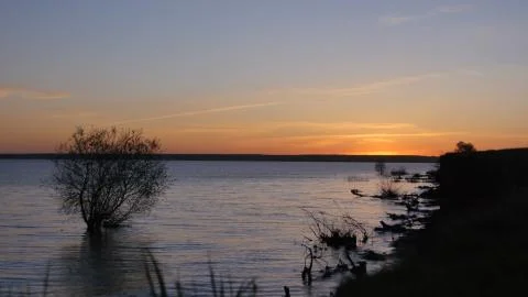 The River Is Eroding The Shore. The tree Grows in the River Foto stock