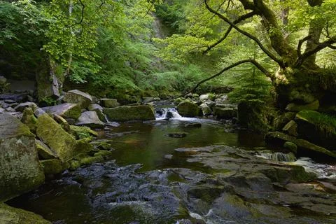 The River Esk flows quickly through a wooded valley in Goathland, Yorkshire. Stockfoto's
