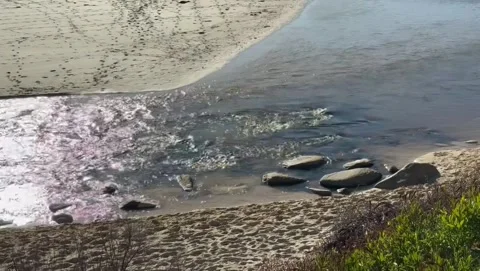 River Estuary Flowing Into Ocean Over Sandy Beach Vidéo 339584090