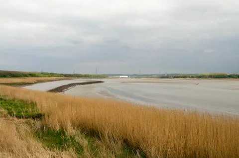 River Estuary Stock Photos