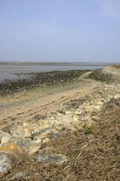 River estuary Stock Photos
