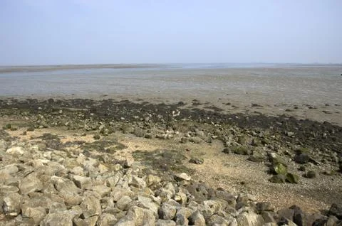 River estuary Stock Photos