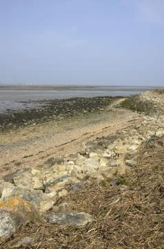 River estuary Stock Photos