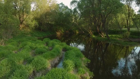 River in evening Stock Footage 89672060