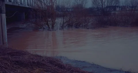 River in the evening Video stock 241492015