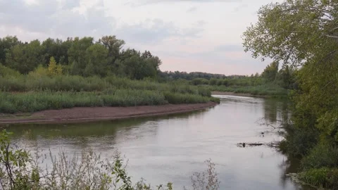River in the evening Stock Footage 248461820