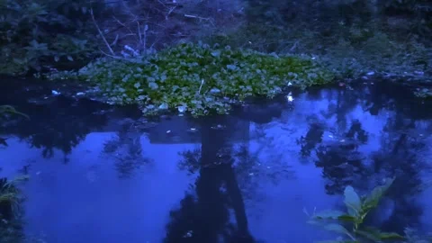 River in the Evening Stock-Footage 333985576