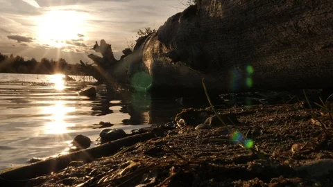 River in the evening light Stock Footage 100882410