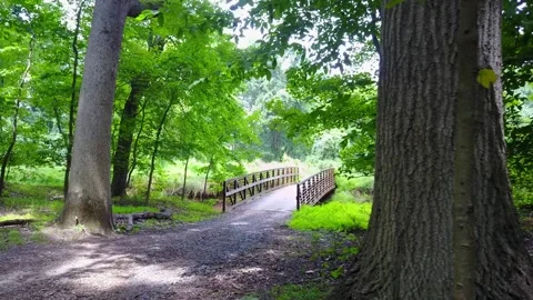 River Exploration Pedestrian Bridge (drone) Stock Footage 248938566