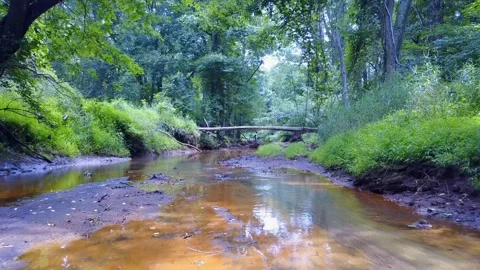 River Exploration under Fallen Tree (drone) 库存影片 248938503
