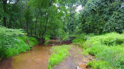 River Explore Stock Footage 248938466