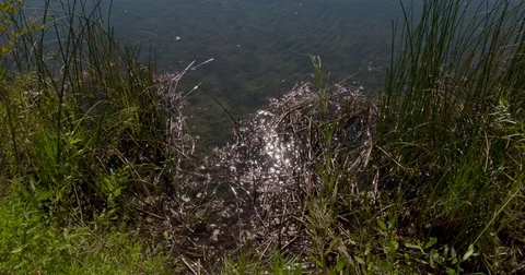 River at fall 1 Stock Footage