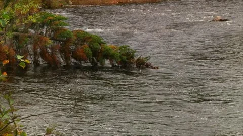 River Fall 11 - H264 Stock Footage 10774166