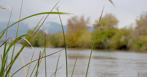 River in the fall 15 Stock Footage