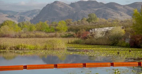 River in the fall 16 Stock Footage