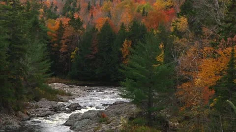 River Fall 17 - H264 Stock Footage 10774153