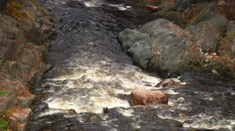 River Fall 19 - H264 Stock Footage 10774140