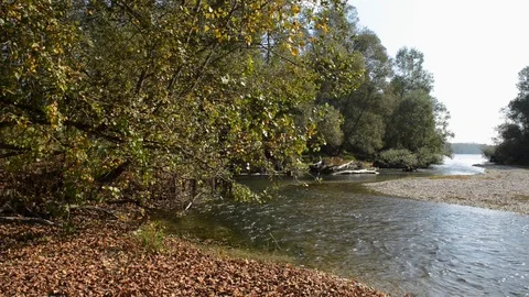 The river in the fall Stock Footage 100111514