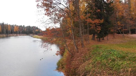 River in the fall 動画素材 100788407