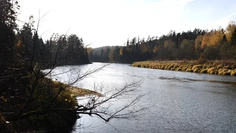 River in the fall Stock Footage 100788431