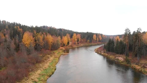 River in the fall Stock Footage 100788499