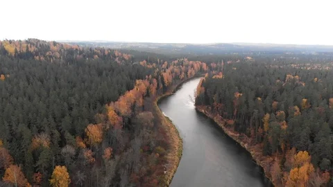 River in the fall Stock Footage 100788516