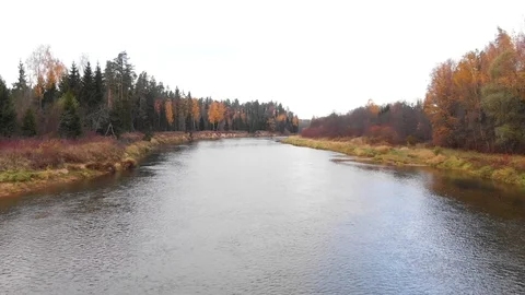 River in the fall Stock Footage 100788615