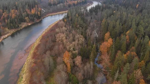 River in the fall Stock Footage 100788675
