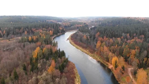 River in the fall Stock Footage 100788718