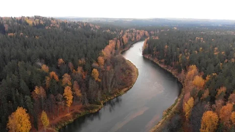 River in the fall Stock Footage 100788761